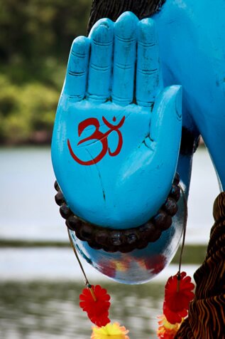 Professional Photographer