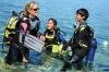 Plongee avec Sun Divers a l'Ile maurice Sun Divers Ile maurice