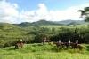 A splendid view is offered to the horse riders Domaine de l'Etoile - Excursions