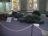 Musee d'Histoire Naturelle Ile Maurice