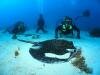 Plongee avec Sun Divers a l'Ile maurice Sun Divers Ile maurice