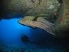 Images de plongee avec Sun Divers a l'Ile maurice Sun Divers Ile maurice