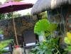 Emeraude Beach Hotel, Ile Maurice