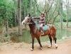 Horse riding at Domaine des 7 Vall�es in Mauritius Domaine des 7 Vall�es, Mauritius