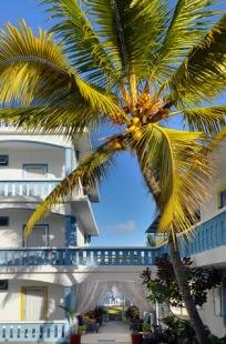 Coco Villa - Chambrea à louer
