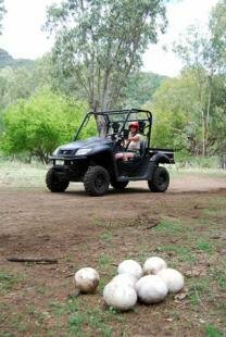 Casela Nature & Leisure Park