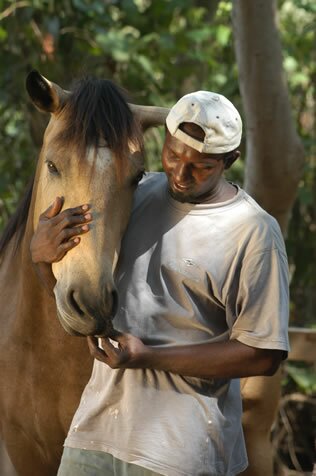 Horse Riding at La Vieille Cheminee in Mauritius La Vieille Cheminee Mauritius
