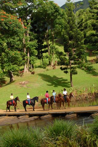 Horse riders on the Domaine's bridge Domaine de l'Etoile - Excursions