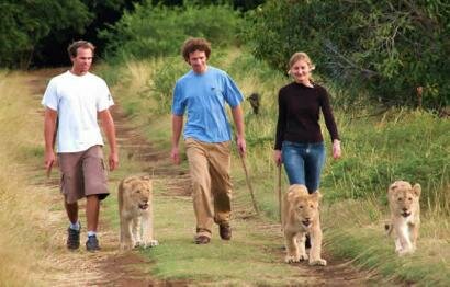 Casela Nature & Leisure Park