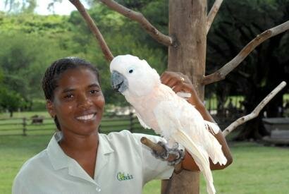 Casela Nature & Leisure Park