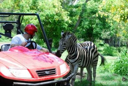 Casela Nature & Leisure Park