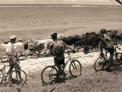 Yemaya Adventures Ile Maurice