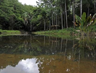 Domaine des 7 Vallées, Ile Maurice