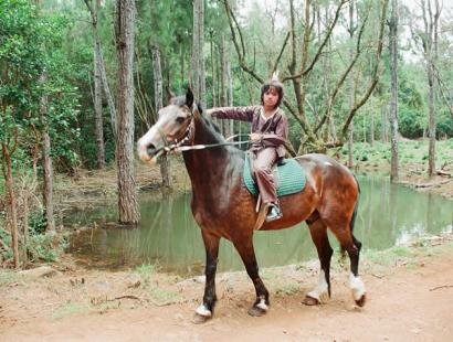Domaine des 7 Vallées, Ile Maurice