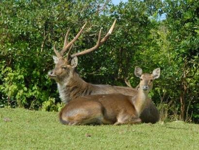 Domaine des 7 Vallées, Ile Maurice