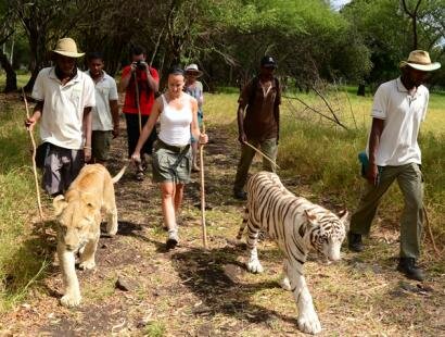 Casela Nature & Leisure Park, Ile Maurice