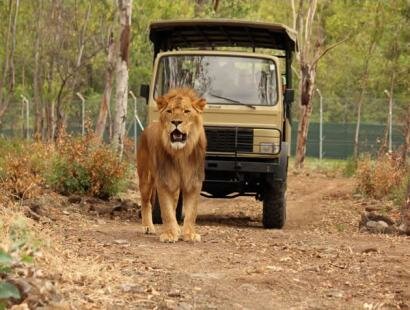 Casela Nature & Leisure Park, Ile Maurice