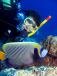 Plongee avec Sun Divers a l'Ile maurice Sun Divers Ile maurice