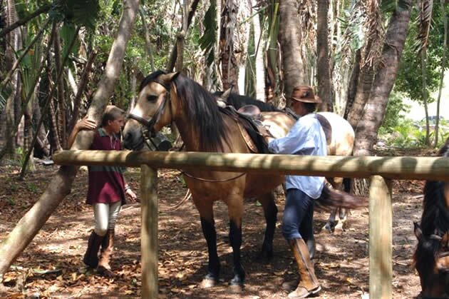 Horses at La Vieille Cheminee in Mauritius La Vieille Cheminee Mauritius