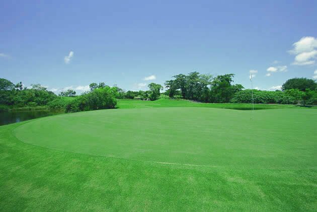 Links Golf Course a l'Ile Maurice Links Golf Course Ile Maurice