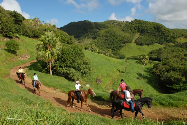 Group of horse riders at Domaine de l'Etoile Domaine de l'Etoile - Excursions