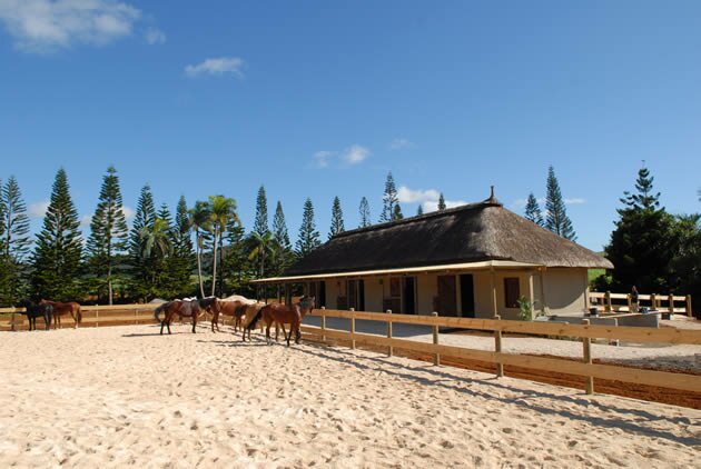 Horse stable at Domaine de l'Etoile Domaine de l'Etoile