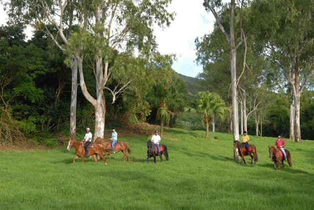 Horse riding at Domaine de l'Etoile Domaine de l'Etoile - Excursions