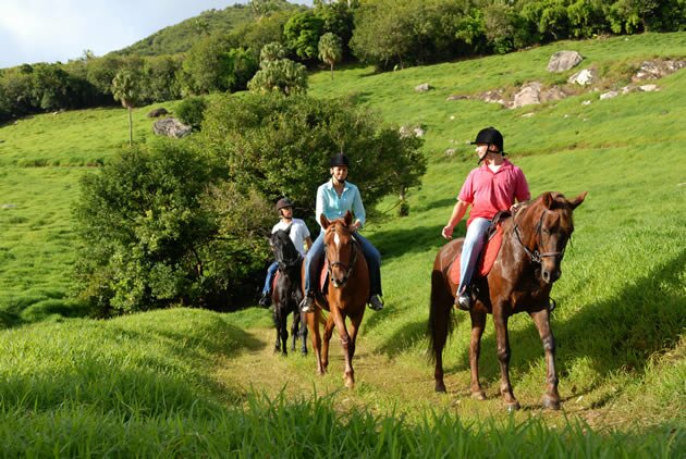 Horse riding in the south east of Mauritius Domaine de l'Etoile - Excursions