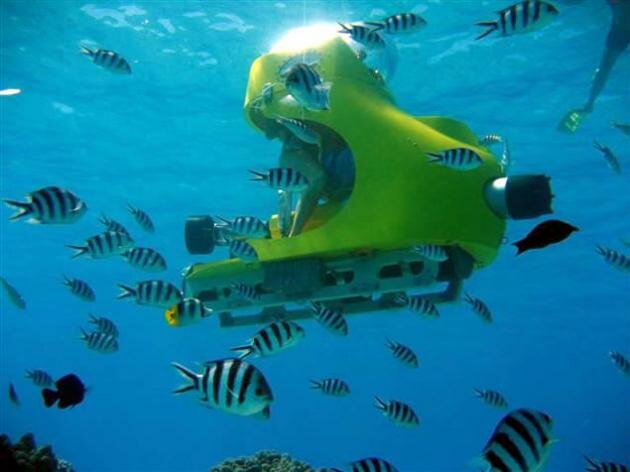 Un Scooter sous-marin de Blue Safari en plong�e a l'Ile Maurice Blue Safari Submarine Ile Maurice