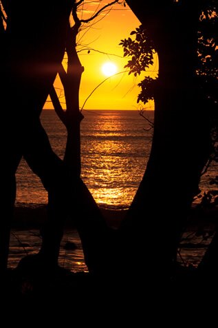 Professional Photographer