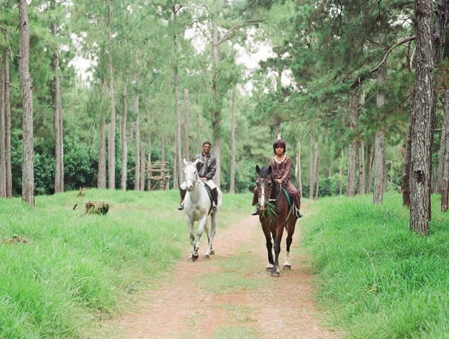 Horse riding at Domaine des 7 Vall�es in Mauritius Domaine des 7 Vall�es, Mauritius