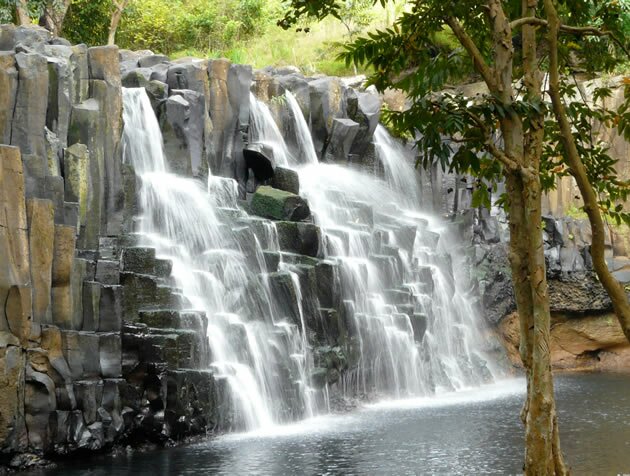 Professional Photographer