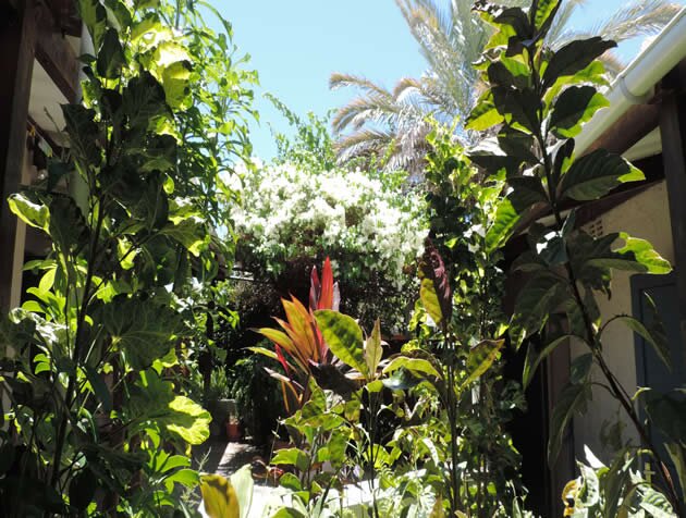 Villa Miamba, Ile Maurice