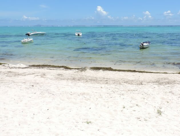 Plage, Villa Morane, Ile Maurice Villa Morane, Ile Maurice