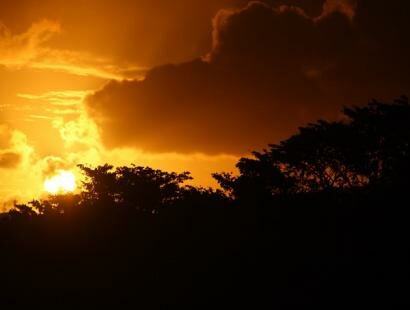 Frdrica Reserve Naturelle, Ile Maurice
