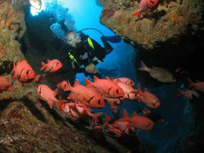 Sun Divers Ile maurice