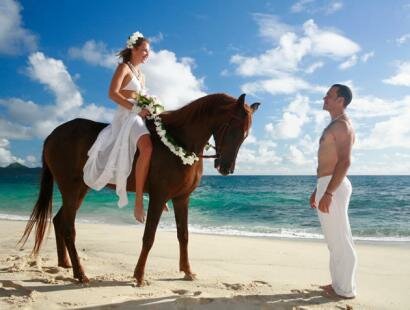 Professional Wedding Photographer