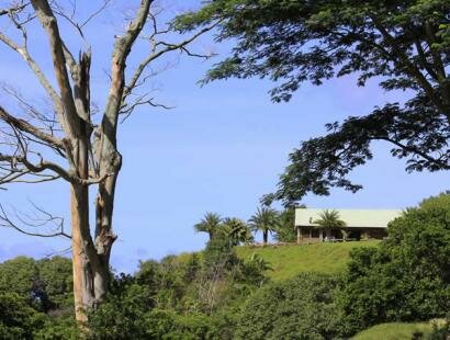 Frdrica Reserve Naturelle, Ile Maurice