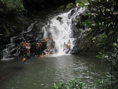 Frdrica Reserve Naturelle, Ile Maurice