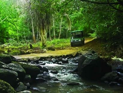Frdrica Reserve Naturelle, Ile Maurice