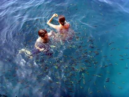 Yacht Management, Mauritius