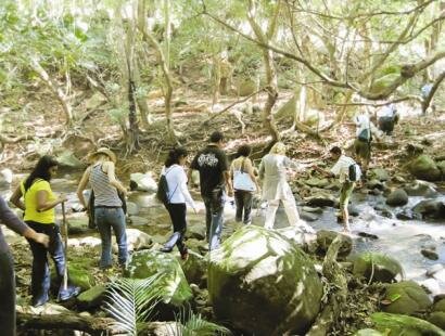 Frdrica Reserve Naturelle, Ile Maurice