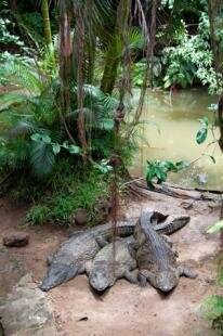 La Vanille Rserve des Mascareignes, Mauritius