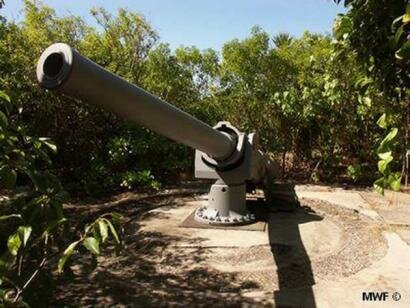 Canon a l'Ile aux Aigrettes Reserve Naturelle de l'Ile Maurice Ile aux Aigrettes Reserve Naturelle Ile Maurice