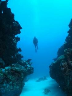 Mauritian Scuba Diving Association