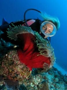 Sun Divers Ile maurice