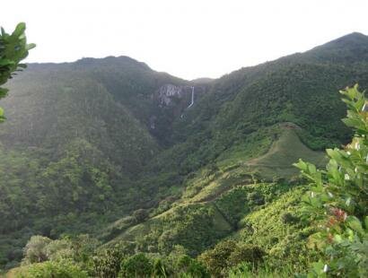 Le Chasseur Mauricien