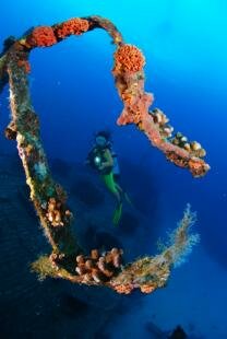 Mauritian Scuba Diving Association