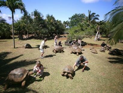 La Vanille Rserve des Mascareignes, Mauritius