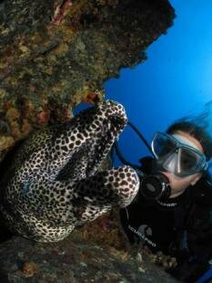 Mauritian Scuba Diving Association